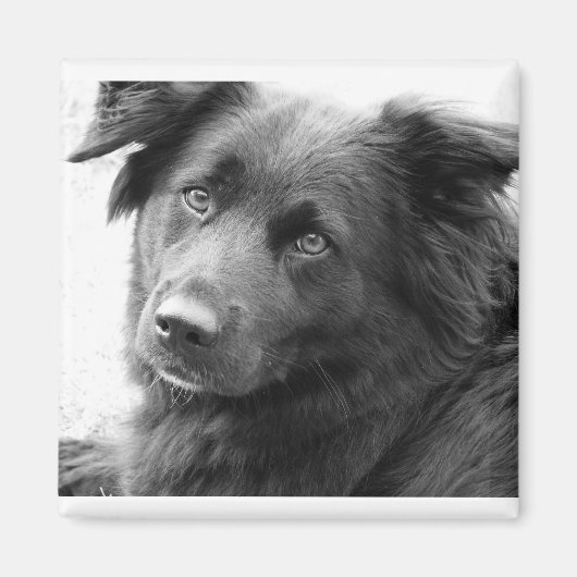 レイラ マグネット (正面)