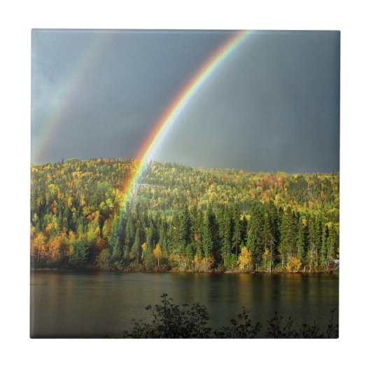 レインアイリッシュラッキー自然スカイウォーター タイル (正面)