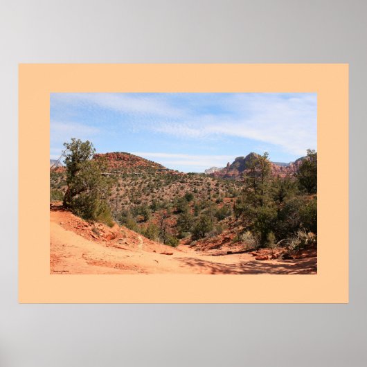 レインウォッシュトレイル ポスター (正面)