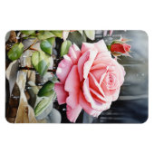 レインウォーター色のピンクのバラ マグネット (横)
