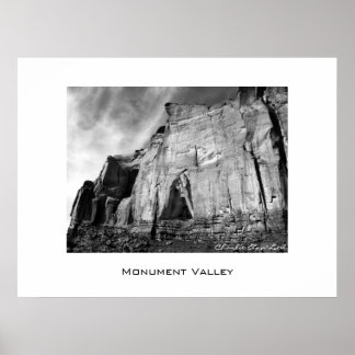 レインゴッドメサ ポスター