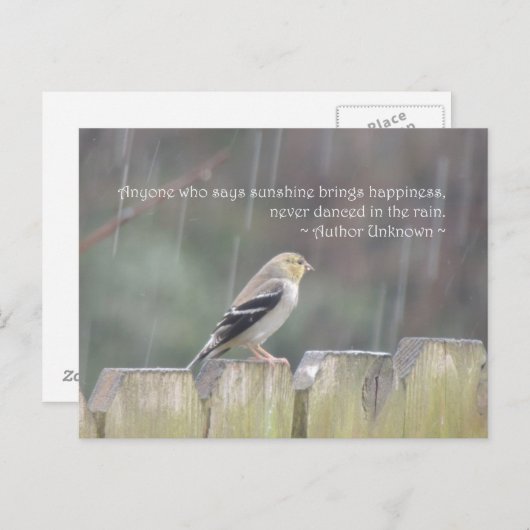 レインゴールドフィンチポストカードでダンス ポストカード (正面/裏面)
