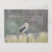 レインゴールドフィンチポストカードでダンス ポストカード (正面)