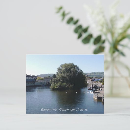 レインスター・アイルランドのカロー町の近くのバロー川 シーズンポストカード (スタンド正面)