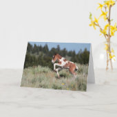 レインダンスグリーティングカード カード (黄色い花)