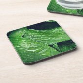 レインデイホスタ葉ズ コースター (左側)