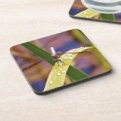 レインドロップの葉の上のトンボ コースター (左側)