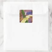 レインドロップの葉の上のトンボ スクエアシール (バッグ)