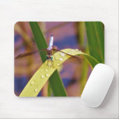 レインドロップの葉の上のトンボ マウスパッド (マウス)