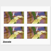 レインドロップの葉の上のトンボ 長方形シール (シート)