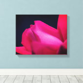 レインドロップオンレッドローズブド キャンバスプリント (インサイチュ (ウッドフロア))