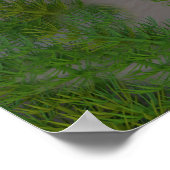 レインバードアートプリント ポスター (角)