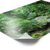 レインフォレストケアンズオーストラリア フォトプリント            (角)