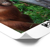 レインフォレストネイチャーズツリーハガー ポスター (角)