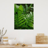 レインフォレストパームズ ポスター (キッチン)