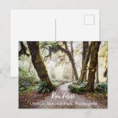 レインフォレスト・ワシントン州オリンピック国立公園 ポストカード (正面/裏面)