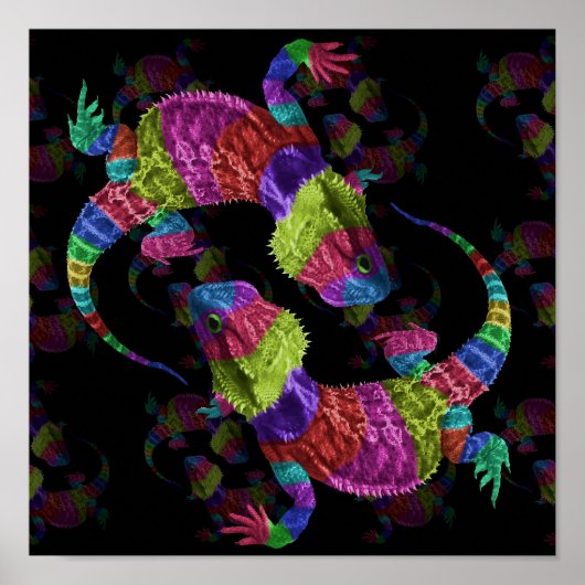 レインボトカゲ ポスター (正面)