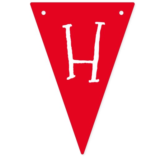 レインボンドンキーピナタピニャタフィエスタパーティー動物 バンティングフラッグ (第2の旗)