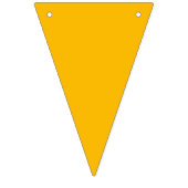 レインボーはっきりしたカラーズガールバースデーパーティー バンティングフラッグ (第3の旗)