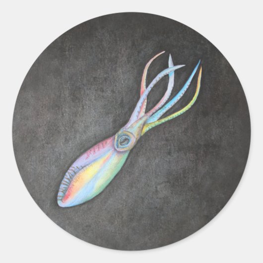 レインボーイカスミ ラウンドシール (正面)