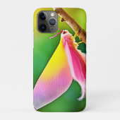 レインボーウィングビューティー Case-Mate iPhoneケース (裏)