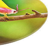 レインボーウィング美しい カッティングボード (角)