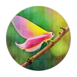 レインボーウィング美しい カッティングボード