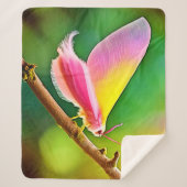 レインボーウィング美しい シェルパブランケット (正面)