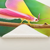 レインボーウィング美しい シェルパブランケット (3/4)