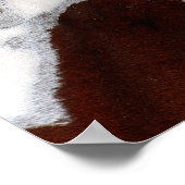 レインボーウマ ポスター (角)