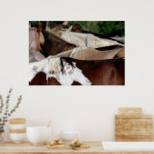 レインボーウマ ポスター (キッチン)