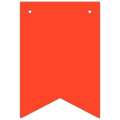 レインボーカラフルバースデーパーティーバンティンバナー バンティングフラッグ (第1の旗)