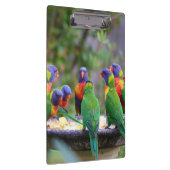 レインボーカラフルロリケエパロッツ食べズ クリップボード (右)