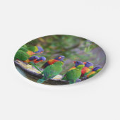 レインボーカラフルロリケエパロッツ食べズ ペーパープレート (アングル)