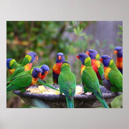 レインボーカラフルロリケエパロッツ食べズ ポスター (正面)