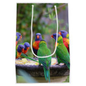 レインボーカラフルロリケエパロッツ食べズ ミディアムペーパーバッグ (裏面)