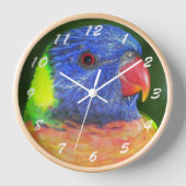 レインボーカラフルロリケートオウム写真大時計 壁時計 (正面)