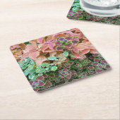 レインボーカラフル・コレウスの植物の写真 スクエアペーパーコースター (アングル)