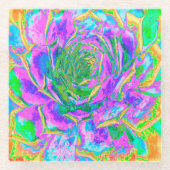 レインボーカラーズフィエスタジューセントセダムロゼット ガラスコースター (正面)