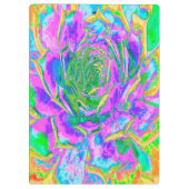 レインボーカラーズフィエスタジューセントセダムロゼット クリップボード (裏面)