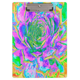 レインボーカラーズフィエスタジューセントセダムロゼット クリップボード