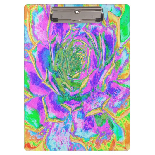 レインボーカラーズフィエスタジューセントセダムロゼット クリップボード (正面)