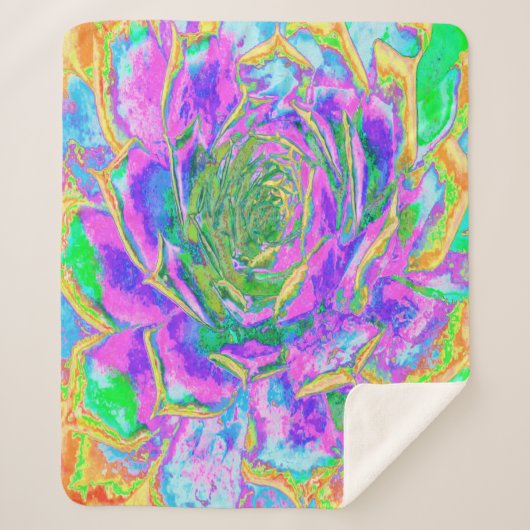 レインボーカラーズフィエスタジューセントセダムロゼット シェルパブランケット (正面)