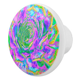 レインボーカラーズフィエスタジューセントセダムロゼット セラミックノブ