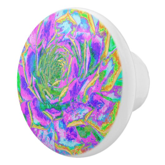 レインボーカラーズフィエスタジューセントセダムロゼット セラミックノブ (右)