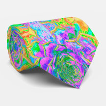 レインボーカラーズフィエスタジューセントセダムロゼット