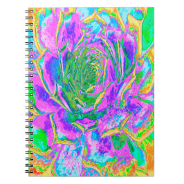 レインボーカラーズフィエスタジューセントセダムロゼット ノートブック