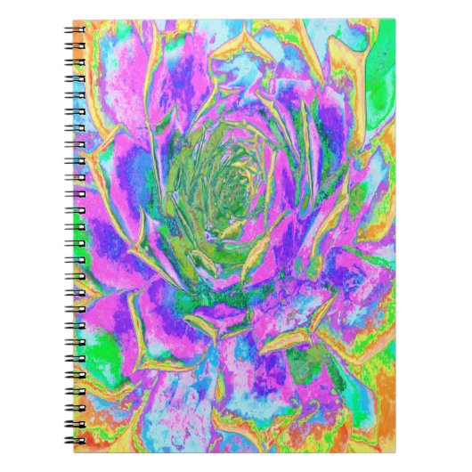 レインボーカラーズフィエスタジューセントセダムロゼット ノートブック (正面)