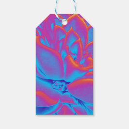 レインボーカラー多肉植物 ギフトタグ