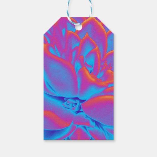 レインボーカラー多肉植物 ギフトタグ (正面)